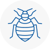 Bed Bug Extermination In Houghton Le Spring