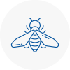 Bee Nest Removal Houghton Le Spring