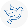 Bird Prevention Houghton Le Spring