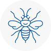 Houghton Le Spring Hornet Nest Removals
