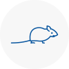 Mice Exterminators In Houghton Le Spring