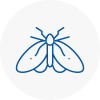 Moth Control Specialists In Houghton Le Spring