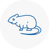 Rat Control Houghton Le Spring