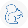 Houghton Le Spring Rodent Removals