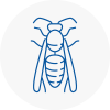 Houghton Le Spring Wasp Nest Removal